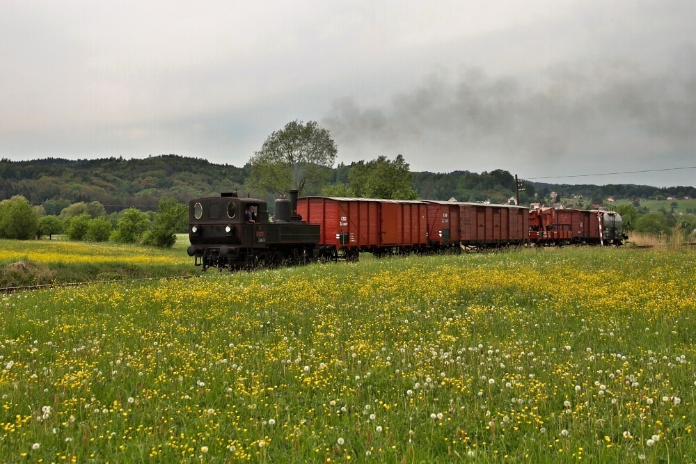 (foto Miloslav Nečas)
